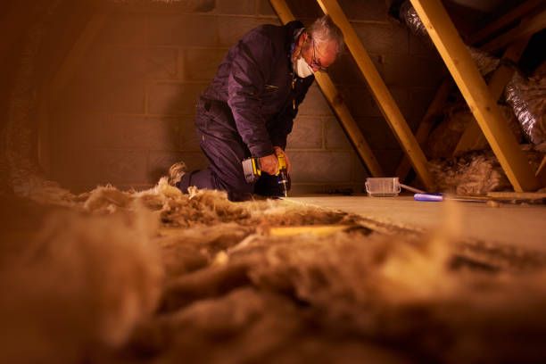 Best Types of Insulation in Spencer, WV