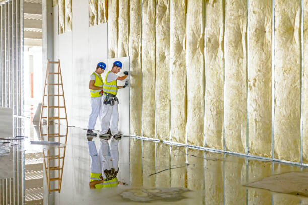 Best Residential Insulation in Spencer, WV
